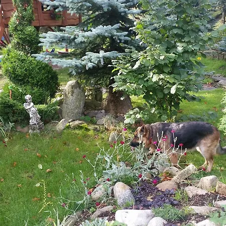 호텔 Oranski Stronie Śląskie