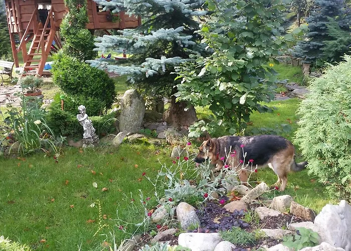 Hotel Oranski Stronie Slaskie